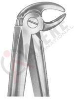 Extracting Forceps English pattern 