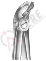 Extracting Forceps English pattern 