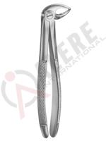 Extracting Forceps English pattern 