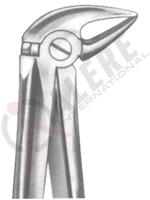 Extracting Forceps English pattern 