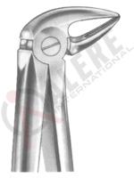 Extracting Forceps English pattern 