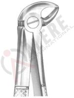 Extracting Forceps English pattern 