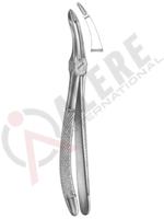 Extracting Forceps English pattern 