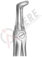 Extracting Forceps English pattern 