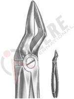 Extracting Forceps English pattern 