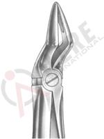 Extracting Forceps English pattern 