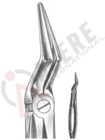 Extracting Forceps English pattern 