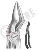 Relax Extracting Forceps 