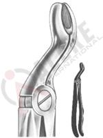 Relax Extracting Forceps 