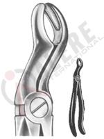 Relax Extracting Forceps 