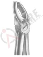 Relax Extracting Forceps 