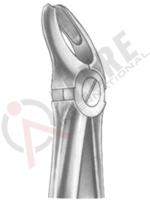 Relax Extracting Forceps 