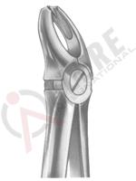 Relax Extracting Forceps 