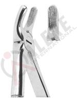 Extracting Forceps For Children - English Pattern 