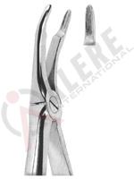 Extracting Forceps English pattern 