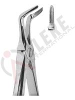 Extracting Forceps English pattern 