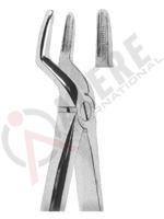 Extracting Forceps English pattern 