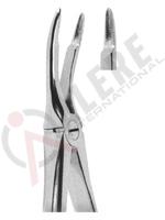 Extracting Forceps English pattern 