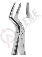 Extracting Forceps English pattern 