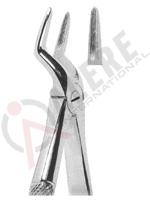 Extracting Forceps English pattern 