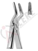 Extracting Forceps English pattern 