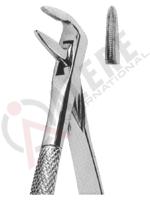 Extracting Forceps English pattern 