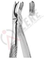 Extracting Forceps English pattern 