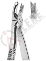 Extracting Forceps English pattern 