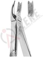 Extracting Forceps English pattern 