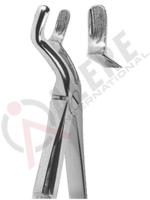 Extracting Forceps English pattern 