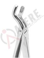 Extracting Forceps English pattern