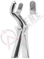 Extracting Forceps English pattern 