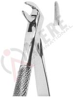 Extracting Forceps English pattern 