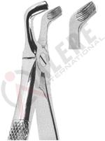 Extracting Forceps English pattern 