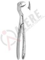 Extracting Forceps English pattern 