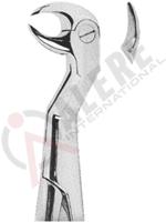 Extracting Forceps English pattern 