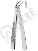 Extracting Forceps English pattern 