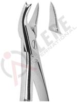 Extracting Forceps English pattern 