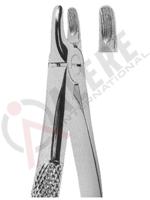 Extracting Forceps English pattern 