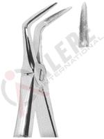 Extracting Forceps English pattern 