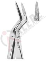 Extracting Forceps English pattern 