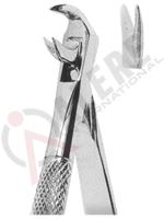 Extracting Forceps English pattern 