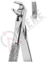 Extracting Forceps English pattern 