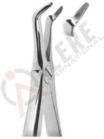 Extracting Forceps English pattern 