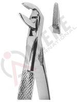 Extracting Forceps English pattern 