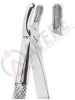 Extracting Forceps English pattern 