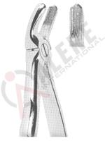 Extracting Forceps With Anatomically Shaped Handle