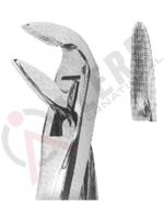 Extracting Forceps With Anatomically Shaped Handle