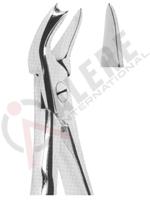 Extracting Forceps With Anatomically Shaped Handle