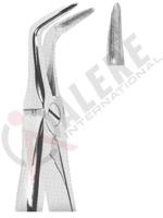 Extracting Forceps With Anatomically Shaped Handle